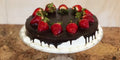 Chocolate covered 3 leches 10